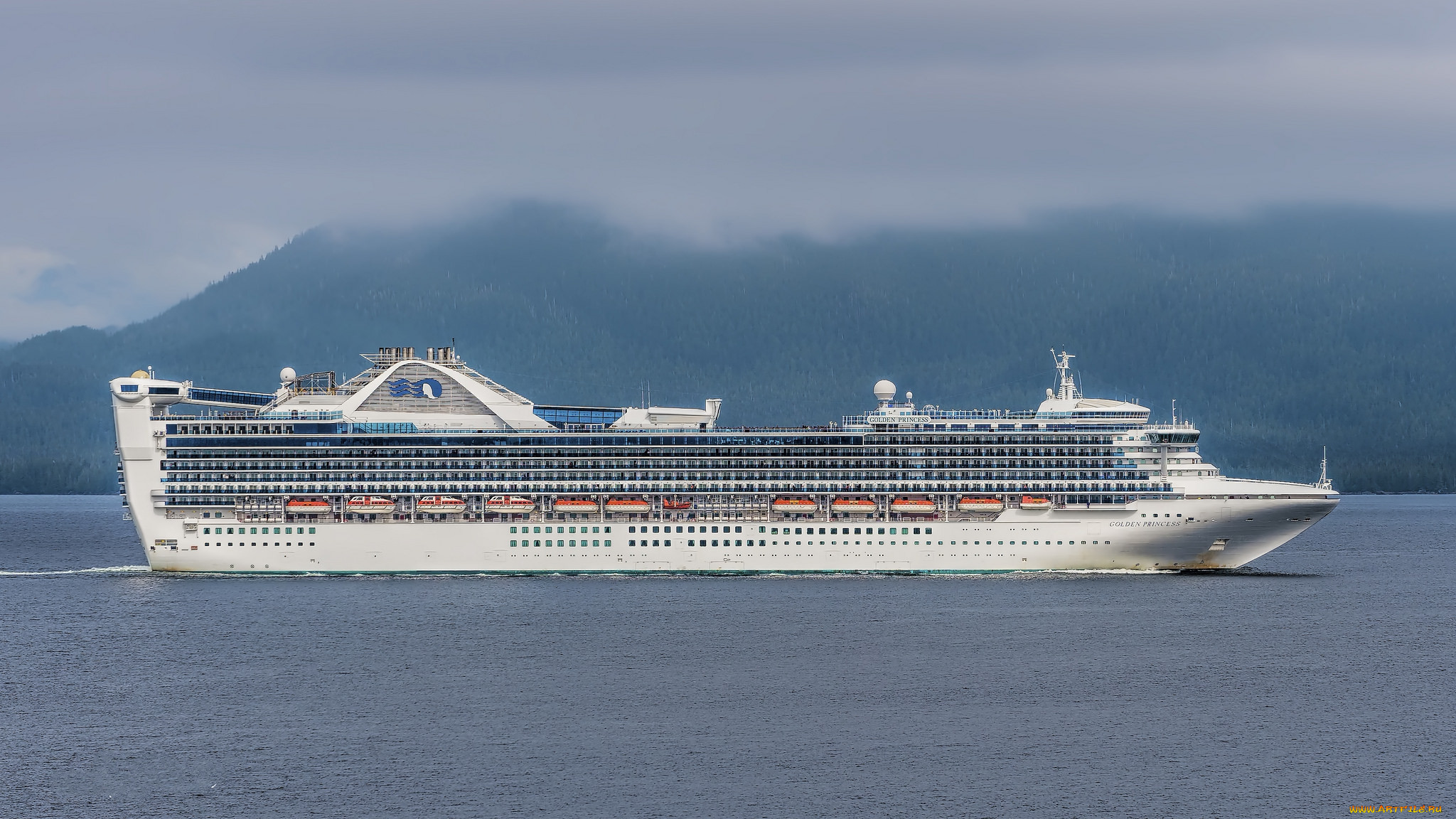 golden princess, , , , 